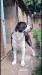 IMG-20260907-WA0004