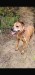 IMG-20260925-WA0006