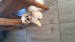 IMG-20220805-WA0001