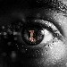 noir_blink